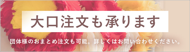 ウリウリの羽根【アウアナ用2個セット】着脱式 ゴムひもタイプ
